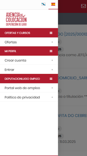 DEPUTACIONLUGO EMPLEO Screenshot 3