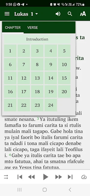 Kitab Suci Bahasa Buli Screenshot 1