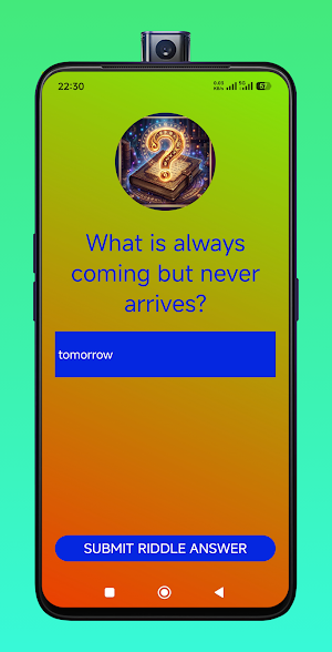 Riddles Screenshot 2