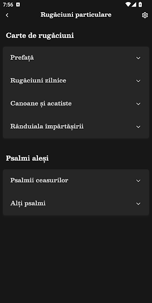 Texte Liturgice Ortodoxe Screenshot 2