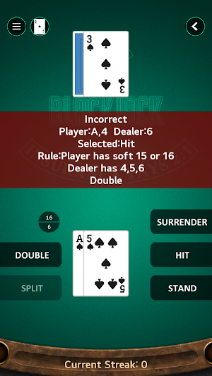 Steve's Blackjack Trainer Pro Screenshot 2