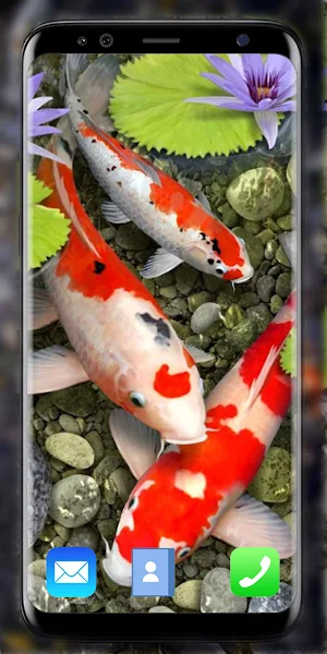 Koi Fish Live Wallpaper 3D Screenshot 1