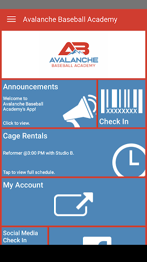 Avalanche Baseball Academy Screenshot 1