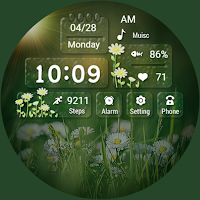 Summer Scene ZKin Watch
