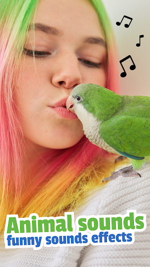 Bird Sounds and Ringtones Screenshot 3