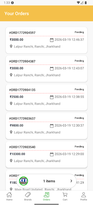 Business Partner Screenshot 1