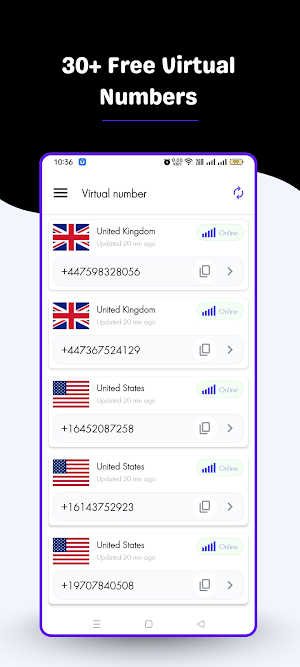 Virtual Number Receive SMS Screenshot 2