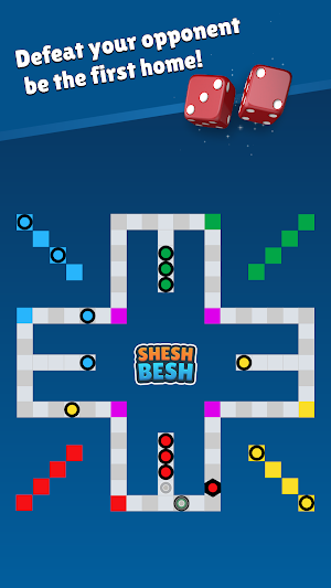 Shesh Besh Screenshot 3