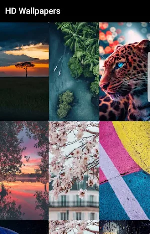 Live Wallpapers 3D- HD Themes Screenshot 1