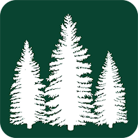 AR Between The Trees