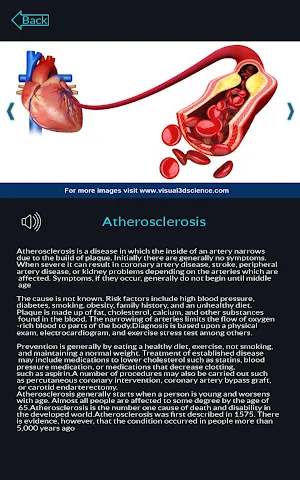 Circulatory System Anatomy Screenshot 3