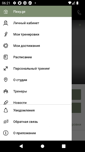 Flexy.GE Screenshot 2