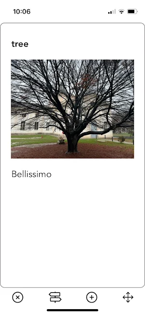 la_pista Screenshot 3