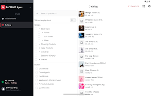 ECOM B2B Agent Screenshot 1