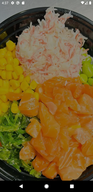 Wok N Bowl Screenshot 0
