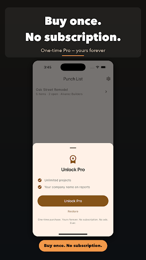 Punch List - Site Report Screenshot 3