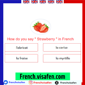 Learn French - Français Screenshot 3