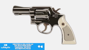 Russian Roulette Screenshot 1