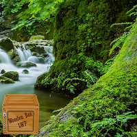 forest stream live wallpaper