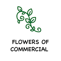 Flowers of commercial