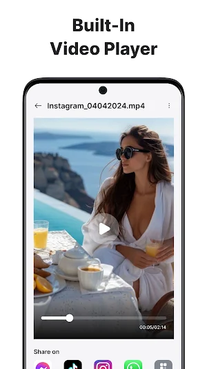 All Video Downloader Pro Screenshot 2