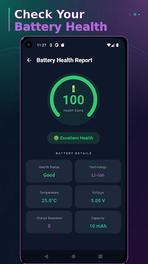 Charge Analyzer Screenshot 3