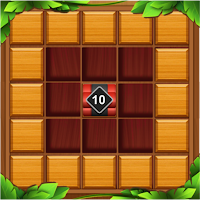 Wooden Block Adventure