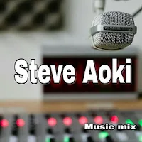 The Best of Steve Aoki