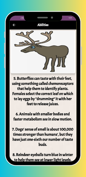 Oddities about animals Screenshot 3