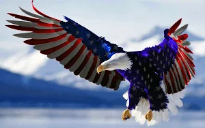 Eagle Wallpapers Screenshot 2