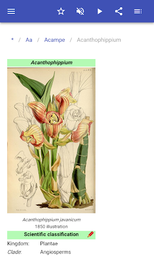 Orchids Screenshot 3