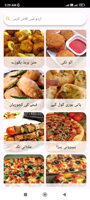 Ghar Ka Chef: Urdu Recipes Screenshot 3