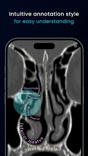 Humanato Screenshot 2