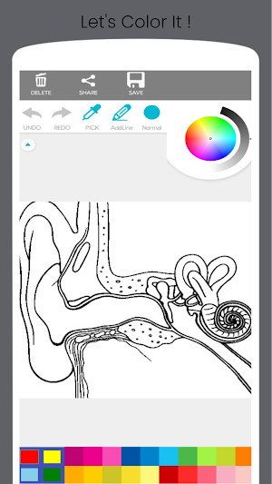 Human Anatomy Coloring Book Screenshot 1