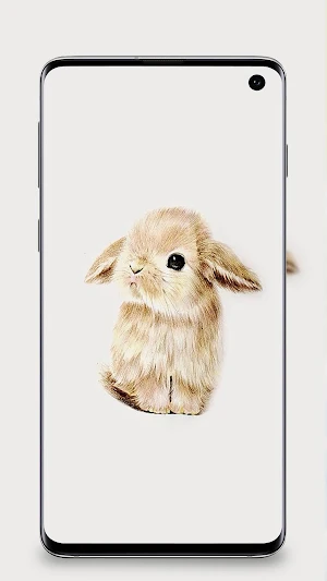 Rabbit wallpaper 4k - Bunny Wallpapers Screenshot 0