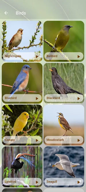 Nature Scenes Screenshot 1