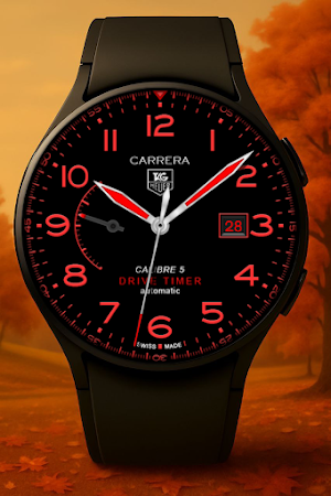 Hybrid Tag Watch Face Screenshot 1