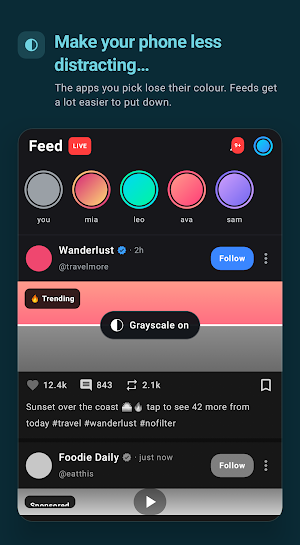 DetoxDroid: Grayscale & Focus Screenshot 1