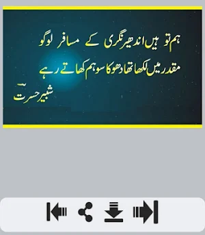 Dhoka Shayari Screenshot 0