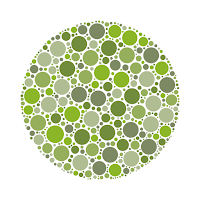 Color Blind Test