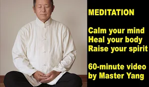 Qigong Meditation (YMAA) Dr.Yang, Jwing-Ming Screenshot 1