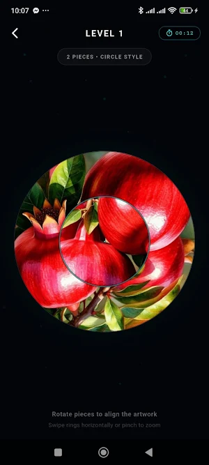 Jigsaw Puzzle Screenshot 2