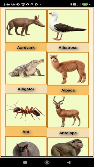 Animal Soundboard Learn & Play Screenshot 1