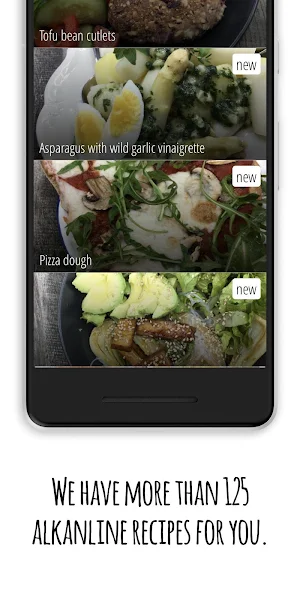 Delicious alkaline recipes Screenshot 2
