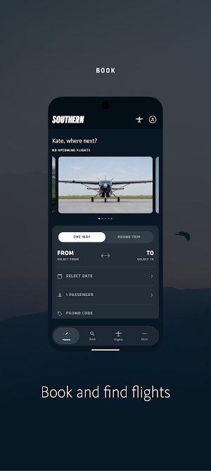 Southern Airways Screenshot 1