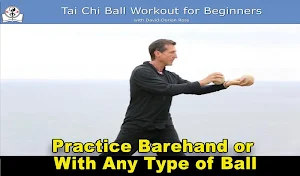 Tai Chi Ball Beginner Screenshot 3