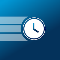 Deltek PIM Timesheets