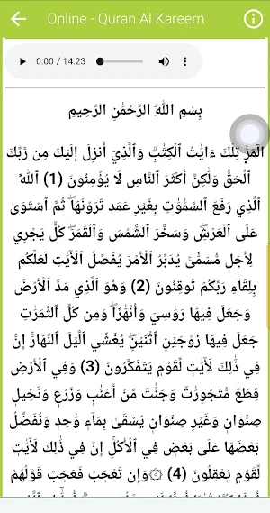 Khalid Aljalil Quran Read & Lt Screenshot 2