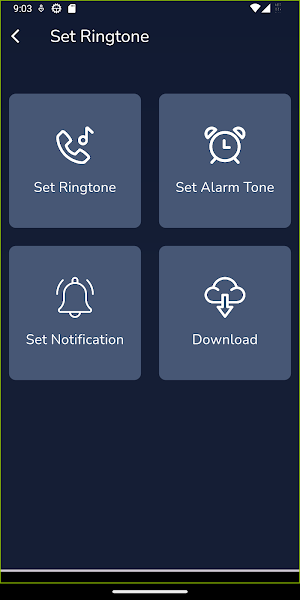 Tiger 3 Movie Ringtone Screenshot 3