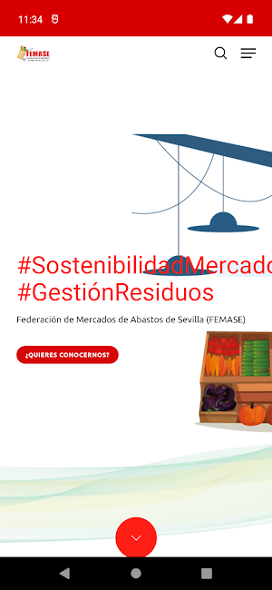Sostenibilidad Femase Screenshot 0